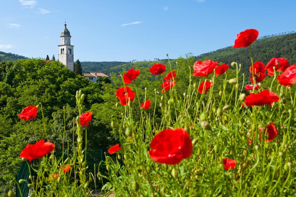 Guesthouse Osterija Branik Экстерьер фото
